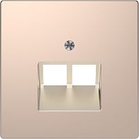 Лицевая панель Schneider Electric Merten D-Life для 2-м. розетки RJ45+RJ45 шампань картинка